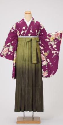 レンタル袴&着物 「紫 レトロ桜菊」&「うぐいすボカシ タテ縞地紋